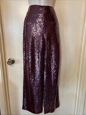 Ann Taylor Sequin Wide-Leg Palazzo Pants - Burgundy size 2P